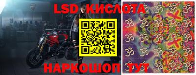 стафф Донецк