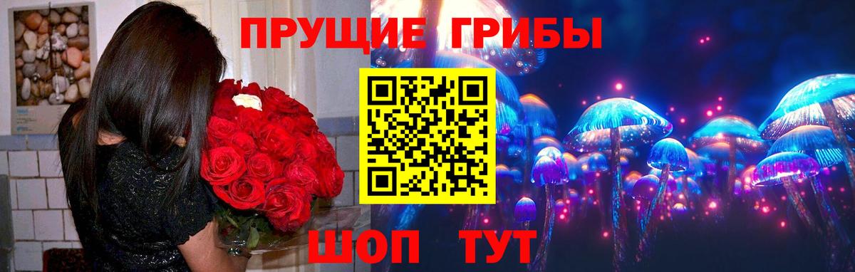 Кудымкар  Псилоцибиновые грибы мухоморы  купить  сайты  Вход с VPN 